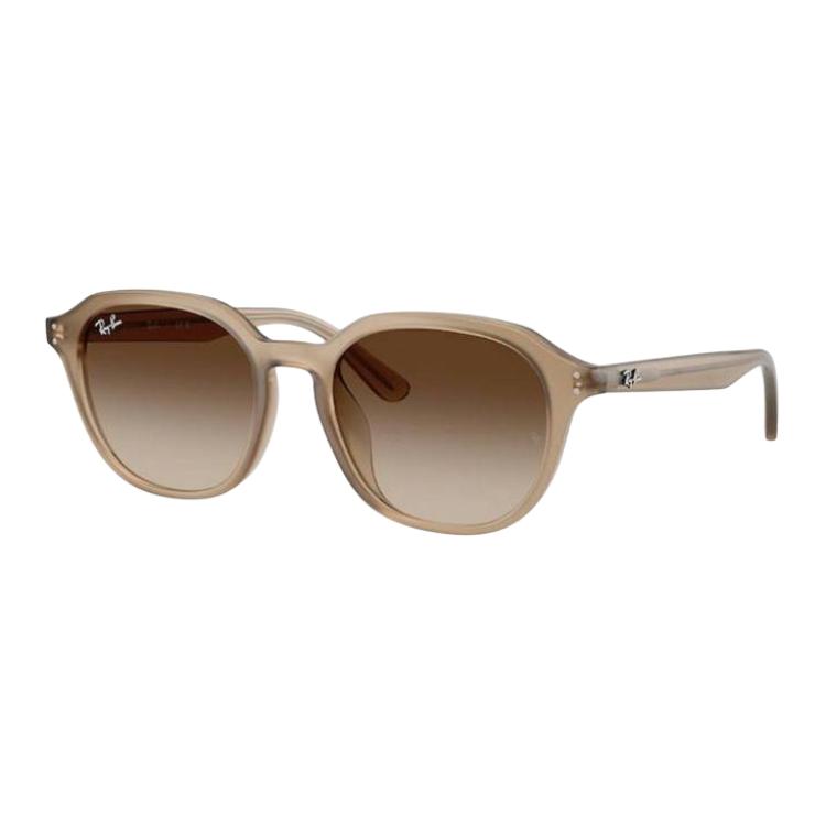 Ray-Ban Round Sunglasses Unisex sunglasses Brown RB4459D_616613