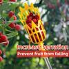 1Pc High Altitude Fruit Picking Tool Yangmei Pipa Lychee Longan Persimmon Telescopic Manual Fruit Picking Machine Plastic/Metal