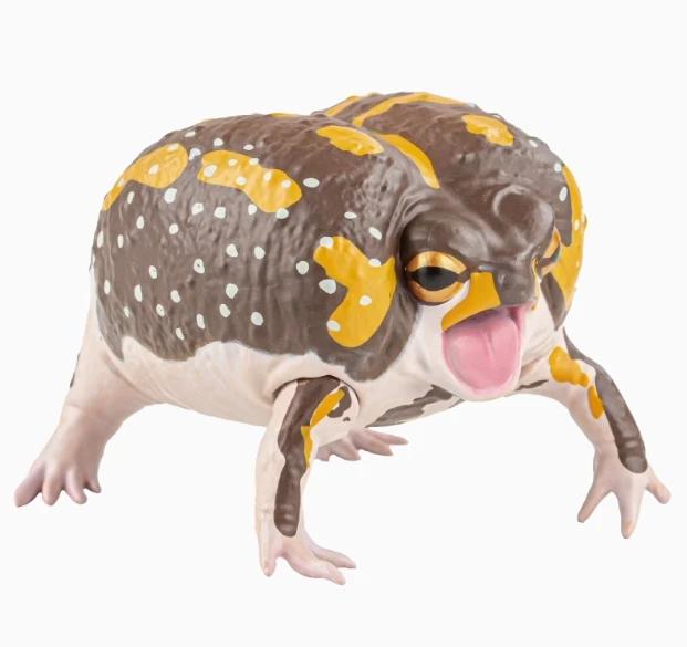 Japanese Genuine Gacha Scale Model Simulation Amphibian Frog Emulational Tabletop Decoration Action Figure Toys