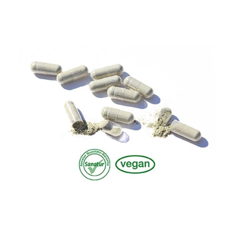 Sanatur 100% Vegetable Calcium 100 Capsules