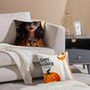 Halloween Cushion Cover Pillowcase Short Plush Invisible Zipper Room Sofa Cushion Cover