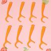 Fawnmum Little Tiger Kids Dental Floss Picks