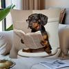 1pc Whimsical Dachshund Reading Newspaper Pillow Cover - Soft Polyester Short Pile, 44.96x44.96 Cm Square, Zipper Closure & Machine Washable, Contempo