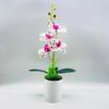 Artificial Plastic Phalaenopsis Flower Bonsai For Event Decoration Home Styling
