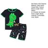 Toddler Boy Clothes Shorts Set Green Dinosaur Print Pajamas Cotton Crewneck Tees Shorts Set Summer Casual Outfit