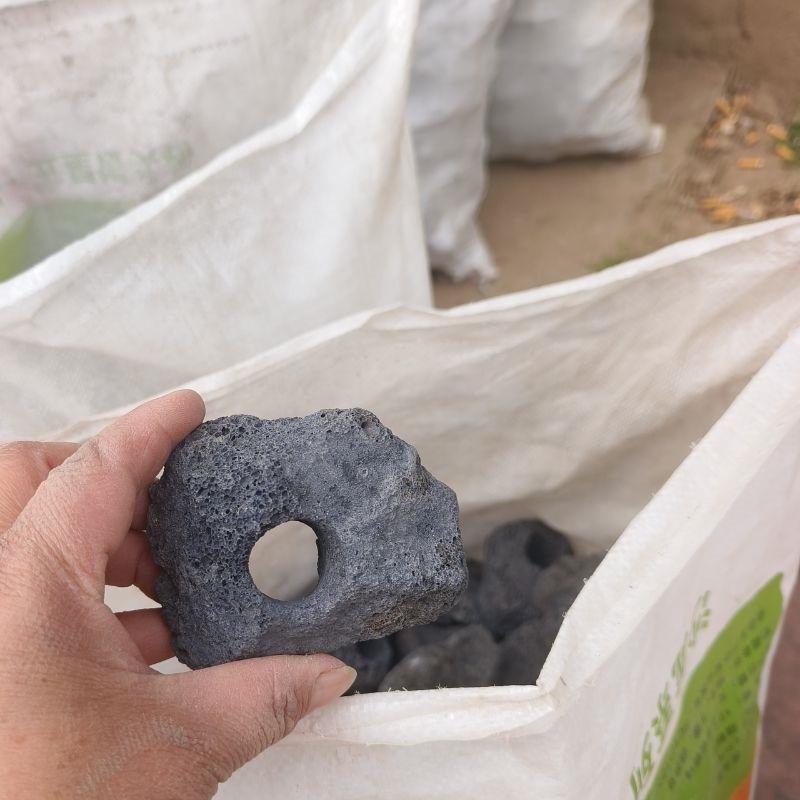 Large Submersible Plant Fixing Ring for Fish Tanks and Aquariums