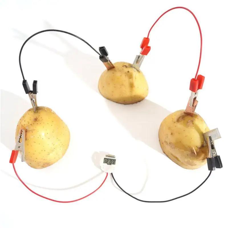 1 Set Children Bio Energy Science Kit Potato Fruit Supply Electricity Experiments Kids Student Learining