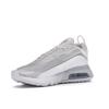 Nike Air Max 2090 Triple White Unisex Sneakers Wolf-Grey Pure-Platinum BV9977-100