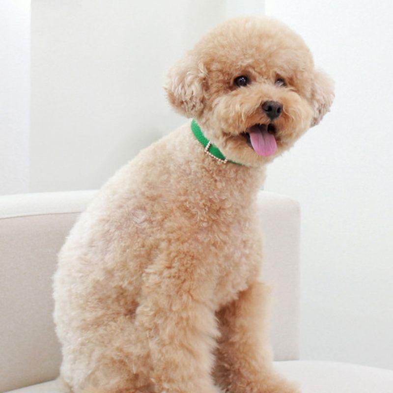 MAISON DE MIU Quadratische Perlenkette Grün