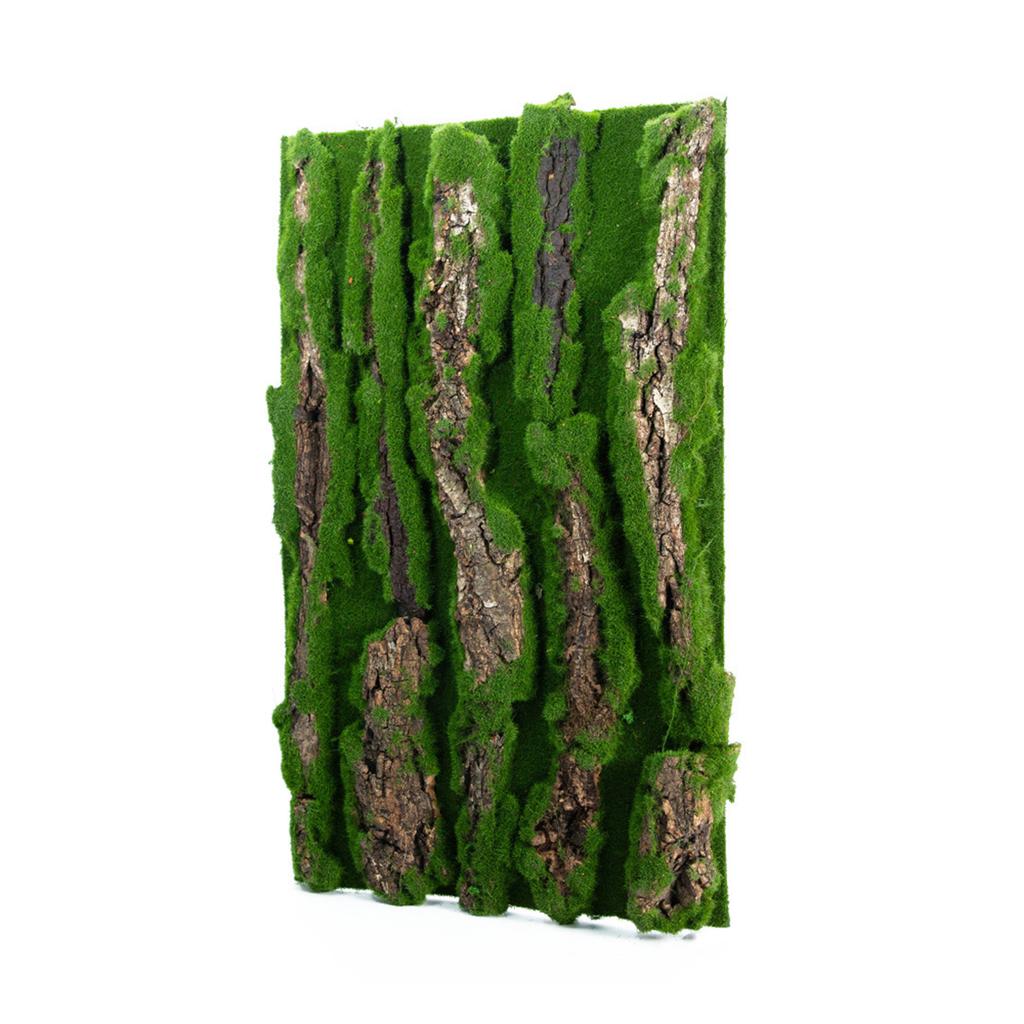 Natural Bark Moss Backdrop Board for Terrariums and Reptile Safe and Mold Resistant Habitats Background for Amphibian
