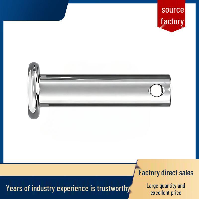 304 Stainless Steel Flat Head Clevis Pin with Hole