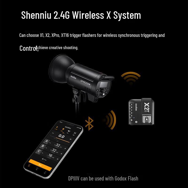 Godox DP1000IIIV Studio Flash Light