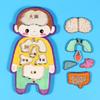 Menschliches Inneres Organ Puzzle Spiel Pädagogisch Menschlicher Körper Struktur Anatomie Puzzlebrett Kinder