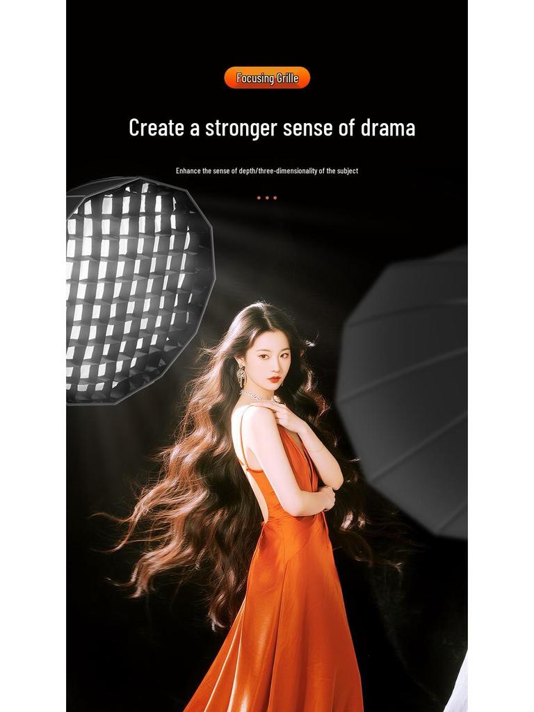 Professional Parabolic Softbox Grid for Photography & Live Streaming