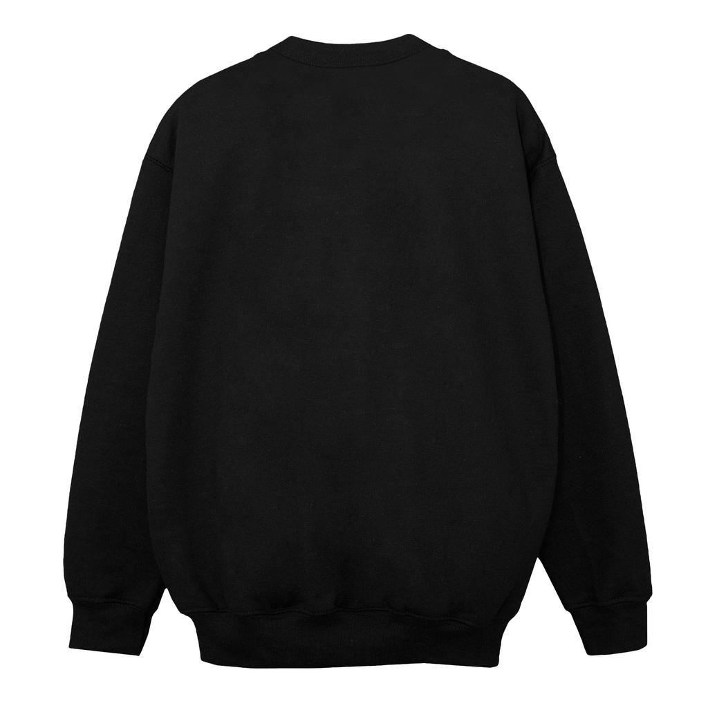HARRY POTTER Boys Slytherin Sport Emblem Sweatshirt