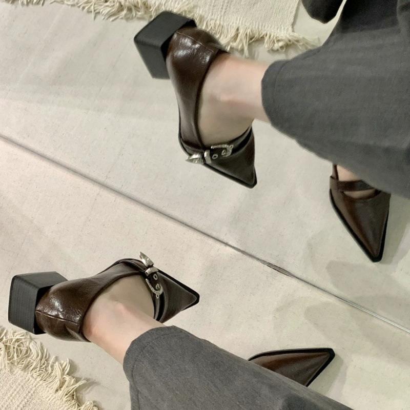 2025 Spring and Autumn New Fashion Versatile Thick Heel Pointed High Heel Single Shoes Women's Korean Version French Small Leather Shoes Retro