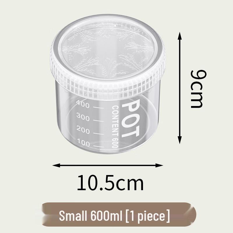 Transparent Food Storage Container