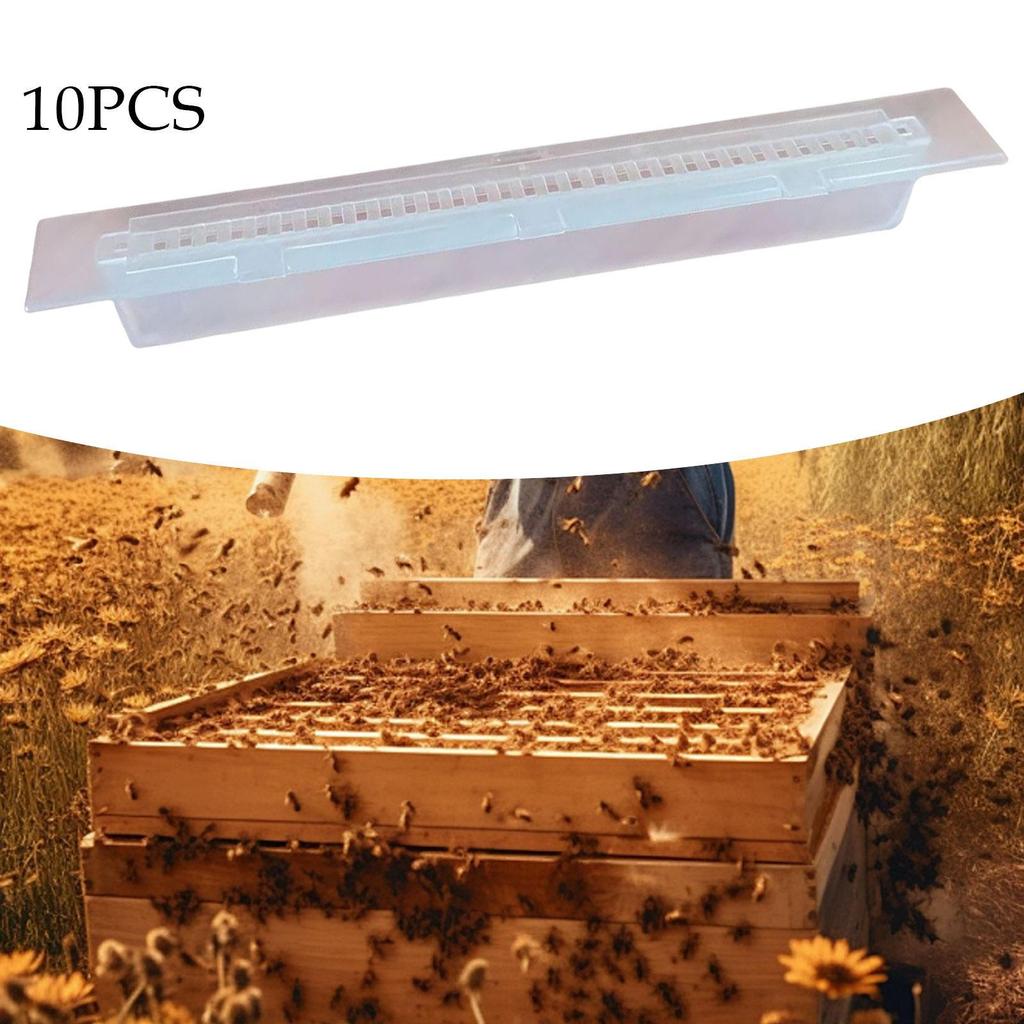 10x Beetle Trap Hive Traps Transparent Convenient Accessories Beekeeper Tool