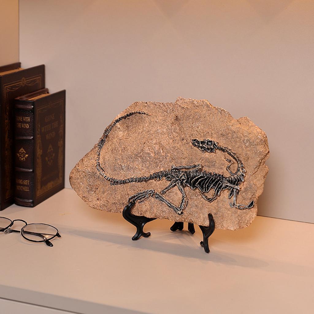 Realistic Dinosaur Skeleton Fossils Resins Statue Figurine Ornament for Desktop Book Shelf Display and Collection Gift