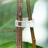 100pcs Functional Garden Plant Support Clips Practical Garden Clips For Securing Tomato Stem And Vegetable Plant