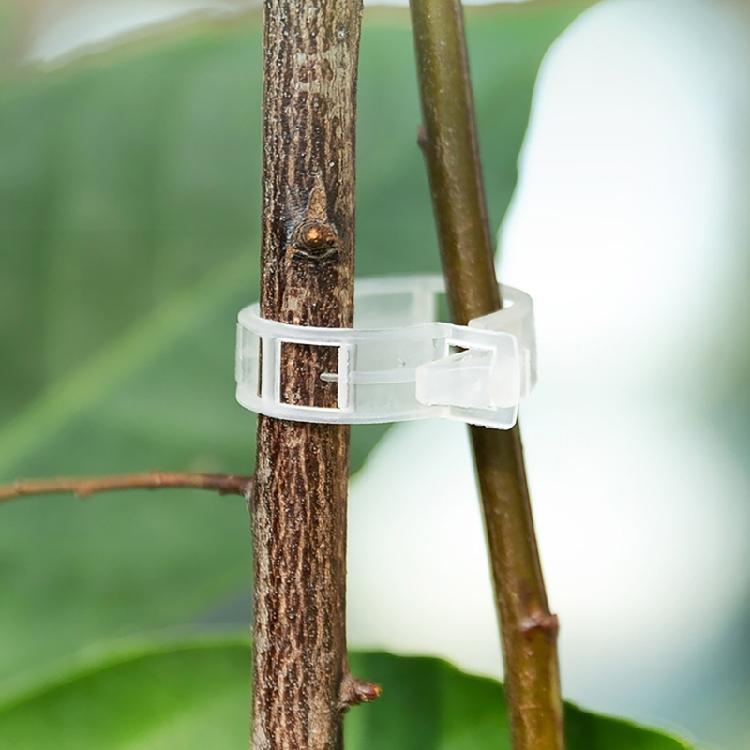 100pcs Functional Garden Plant Support Clips Practical Garden Clips For Securing Tomato Stem And Vegetable Plant
