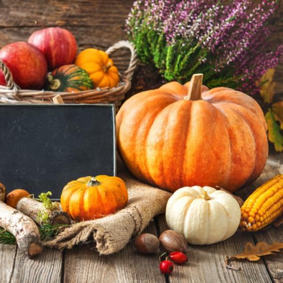 Dovleci de Halloween frumoși reutilizabili Cozy Touch Decorative