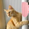 4 PCS Cat Self Groomer for Indoor Cats Silicone Grooming Strap Pad for Cats Adjustable & Soft Cat Massager(Green+Yellow+Pink)