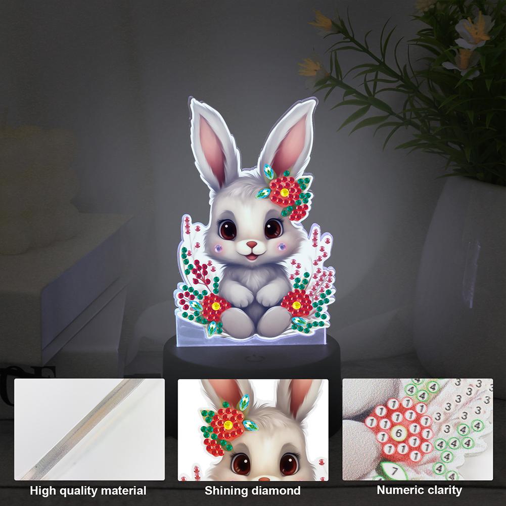 Acrylic Double Sided Diamond Painting LED Night Light Diamond Art Light Ornaments Rhinestones Night Lamp for Adults Beginners