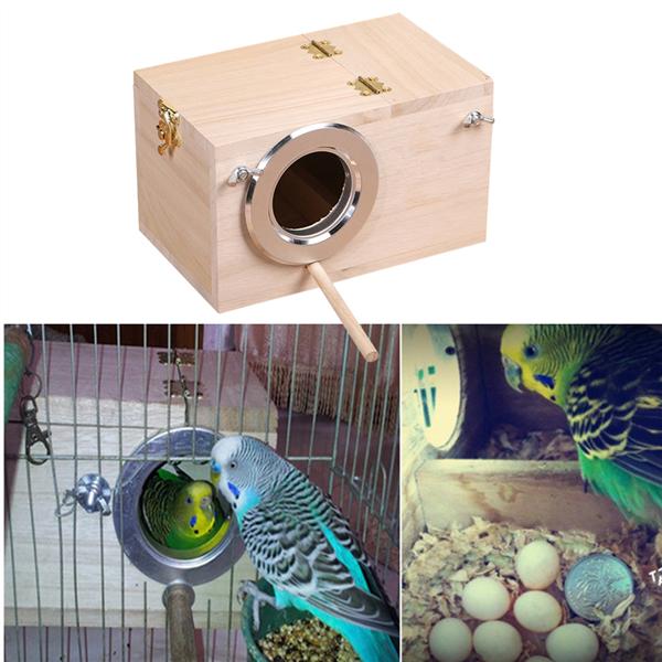 parakeet nest box for sale