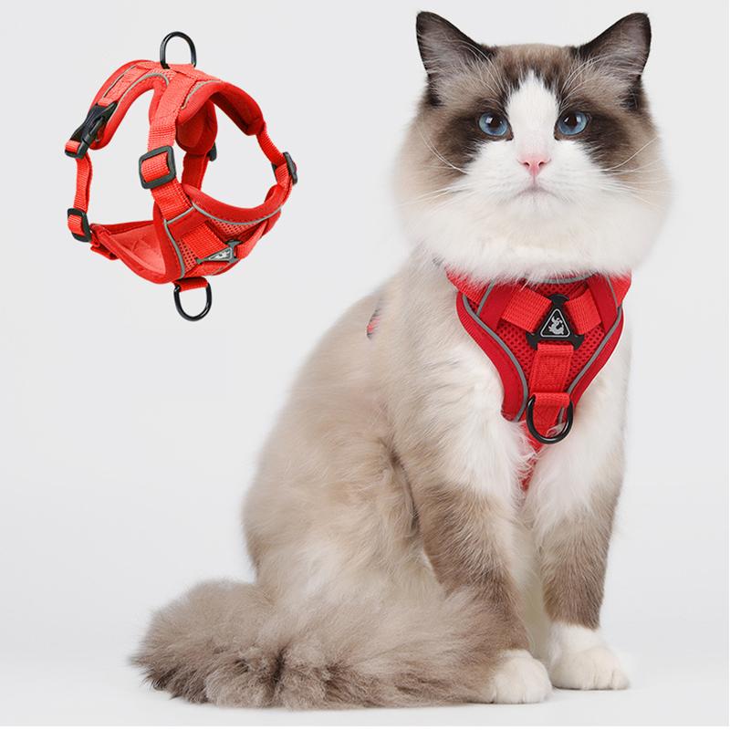 

Сетчатая шлейка для кошек, защита от побега, жилет для питомца, шлейка с поводком для маленьких собак, кошек, для прогулок на улице, светоотражающая, нагрудный ремень для щенков и котят S красный