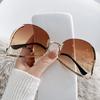 Big Frame Round Sunglasses Women Men Outdoor Geometric Cool Sun Glasses Mirror Metal Colors Designer Brand Fashion