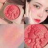 Make-up – Blush