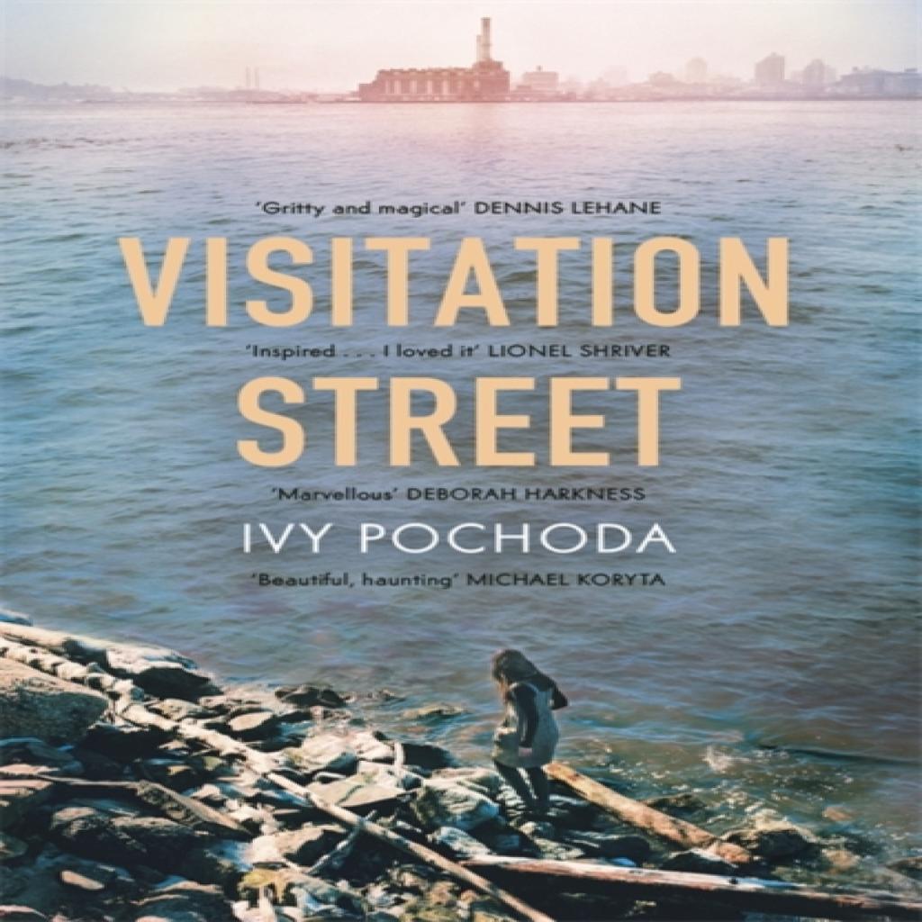 Visitation Street by Ivy Pochoda Paperback Book 9781444778274