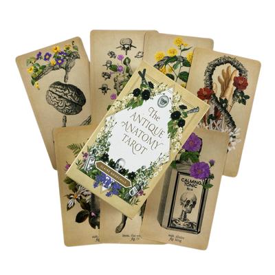 Antique Anatomy Tarot Cards A 78 Deck Oracle English Visions Divination Edition Borad Playing Games