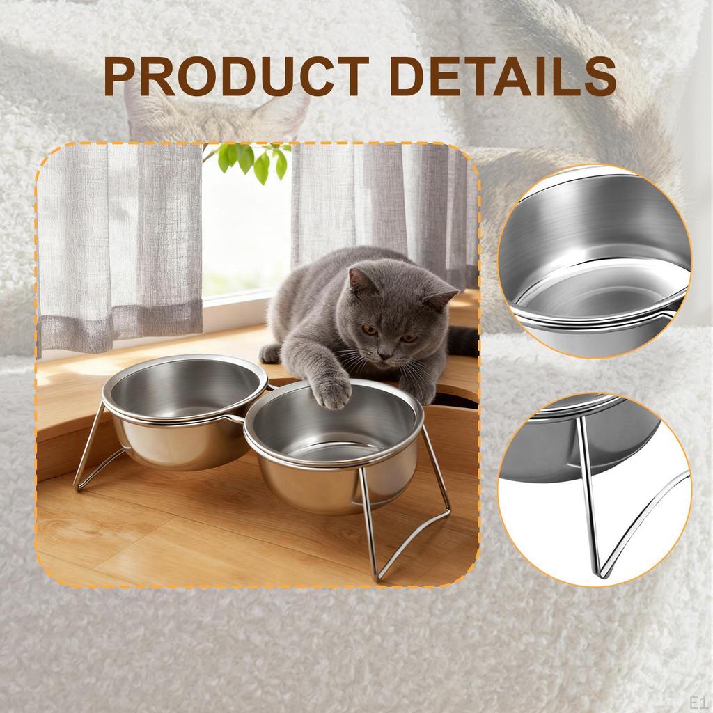 Bowl Feeder Station with Stand Pet Bowls Tilted Cat Dog Dish and Waterer for Puppy Cats