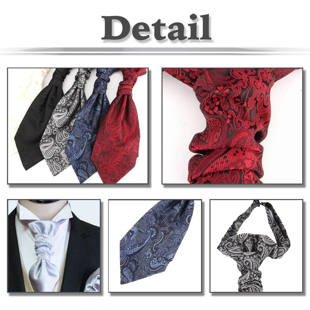 [White Fang] Paisley Pattern Elegant Tie, Business Casual Fashion, Stylish Men's NC069 (Wine)
