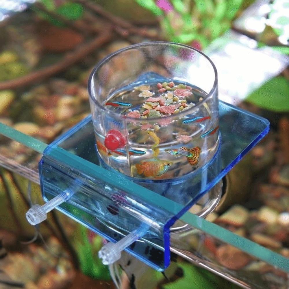 Plastic Fish Feeding Ring Wall-mounted Fish Feeding Basin Aquarium Feeding Bowl Food Dispensing