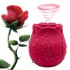 G-Spot Vaginal Vibrator Vlitoral Nipple Sucking Ctimulator 10 Sucking Modes Vibrating Egg Adult Sex Toys for Women & Couples