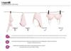 2502 Seamless Wire-Free Push-Up Bra for Small Busts, Solid Color, Medium Thickness, Magnetic-Free, Sexy Design