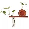 Solid Wood Wall-Mounted Flower Holder & Shelf - Decorative Vase for Plants & Water Culture