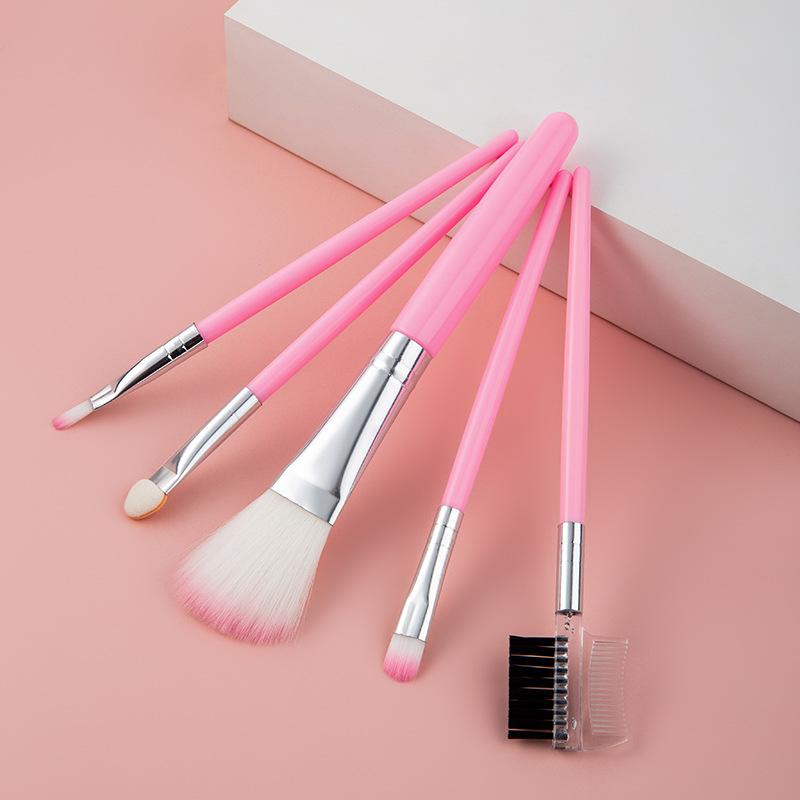 Pink 5-Piece Makeup Brush Set: Portable Brushes for Blush, Foundation, Eyeshadow, and Eyebrows