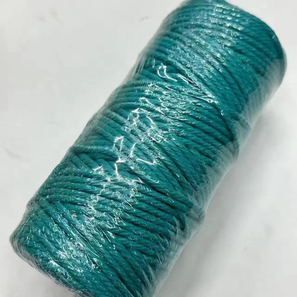 4mm Waterproof Hot Sale Colorful DIY Craft Twine Satin Cord Twisted Cord Natural Macrame Cotton Rope for Bags & Shoes