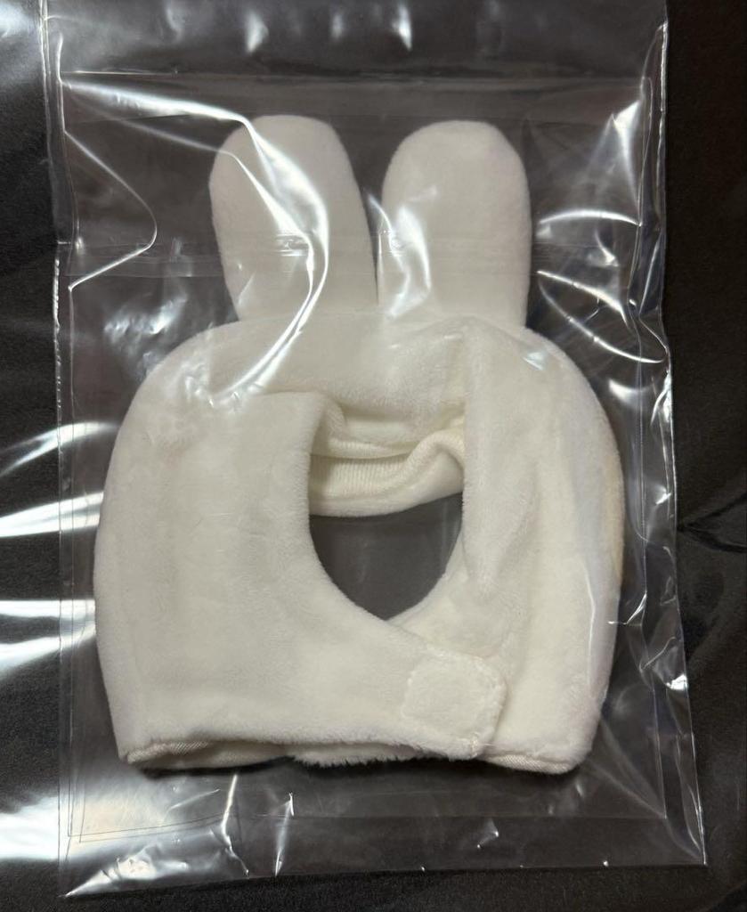 [USED] Stray Kids Levit Penlight Cover ver2