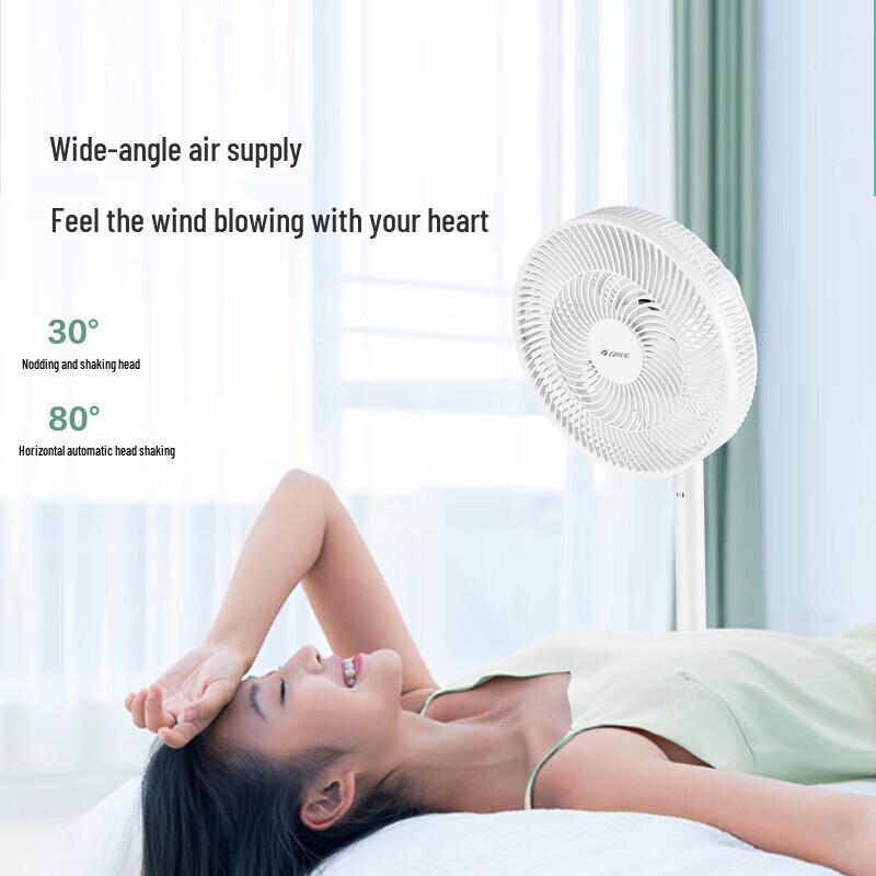GREE Ventilatore da pavimento elettrico silenzioso e a risparmio energetico Spina CN (adattatore incluso)