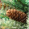 80cm PVC Mixed Pine Christmas Tree with Lights