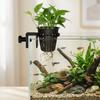 Top Hanging Fish Tank Greenery Holder Soilless Cultivation Aquarium Planter Cups Landscaping