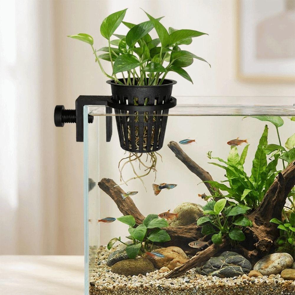 Top Hanging Fish Tank Greenery Holder Soilless Cultivation Aquarium Planter Cups Landscaping