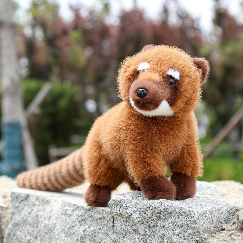 American Coati South Raccoon Plush Doll Animal Cushion Birthday Present Children