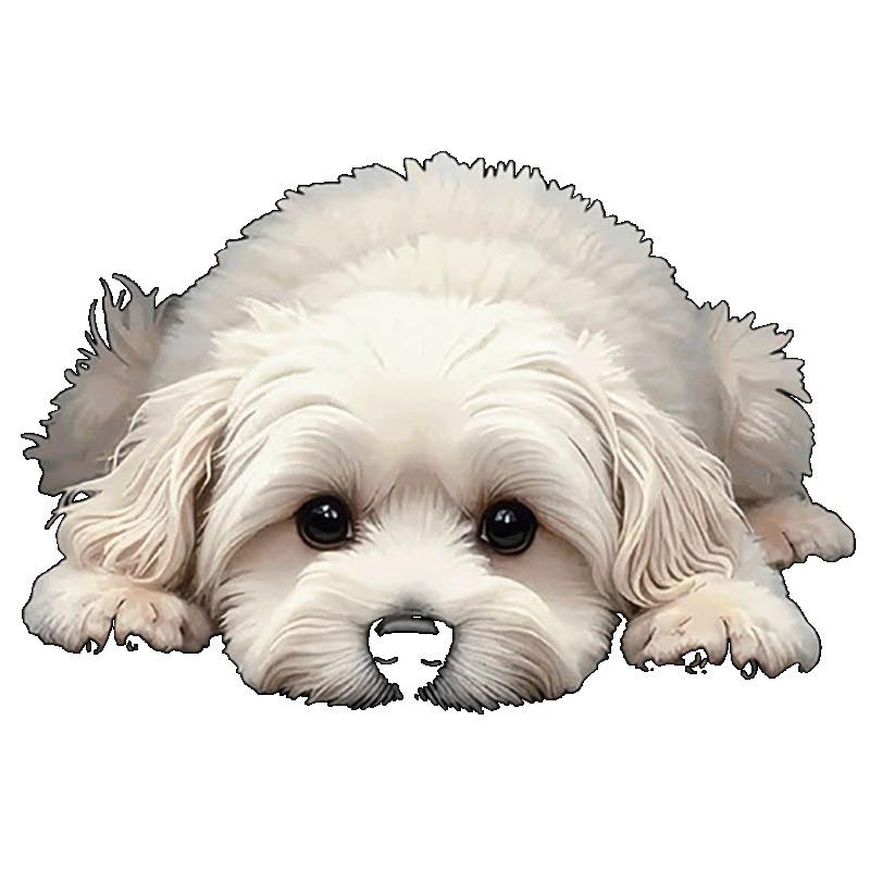 Women Casual Loose T Shirt Black Cute Maltese Dog Print For Daily Wear And Pet Lovers