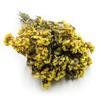 Zatrwian Wrębny - Limonium Sinuatum - Žlutý